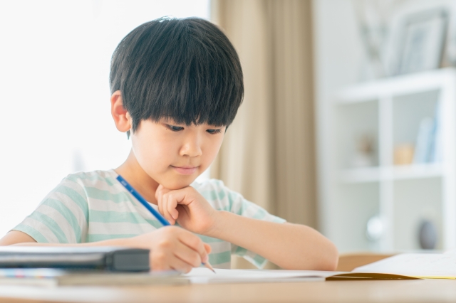 勉強をする小学生の男の子