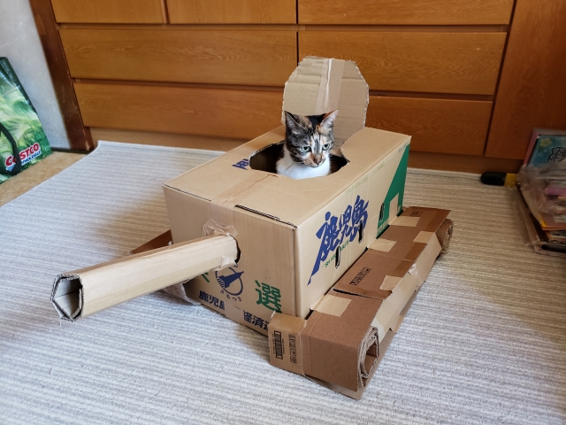 工作の戦車にのる猫
